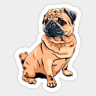 Fawn pug Dog Sticker